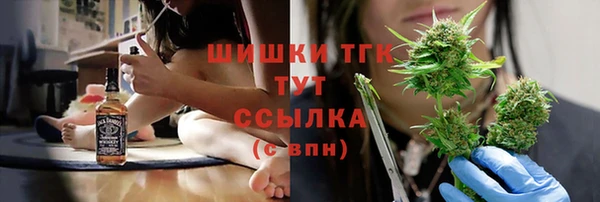 дживик Сатка