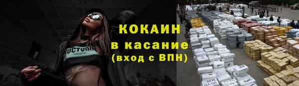 не бодяженный Алексин