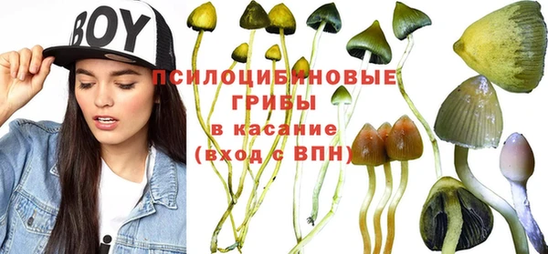 не бодяженный Алексин