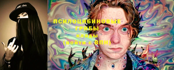 не бодяженный Алексин