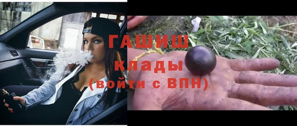 прущие грибы Алзамай