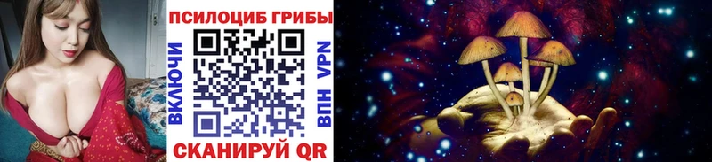 Псилоцибиновые грибы прущие грибы  купить  сайты  Майский 