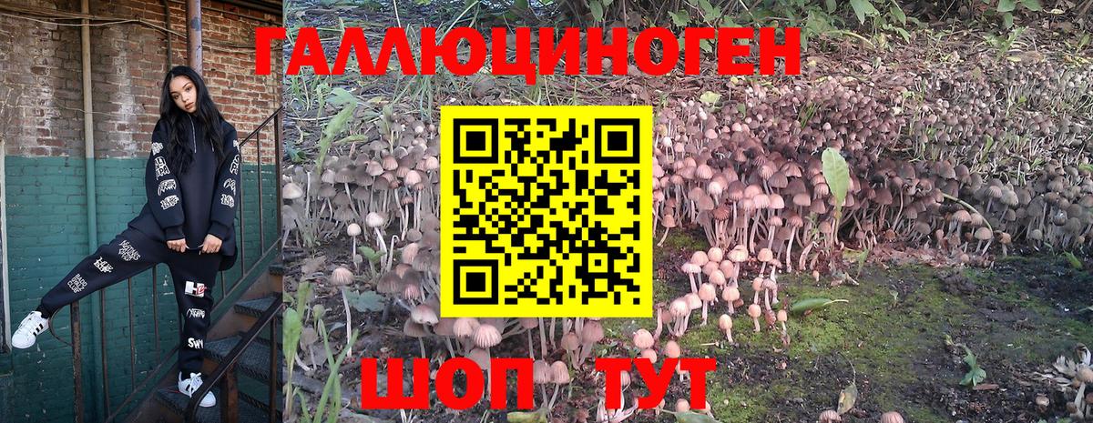 Псилоцибиновые грибы Psilocybine cubensis  Вход с VPN  как найти наркотики  Майский 