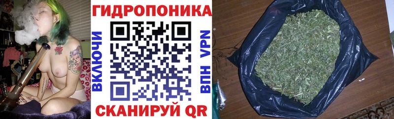 Шишки марихуана OG Kush  это формула  Майский 